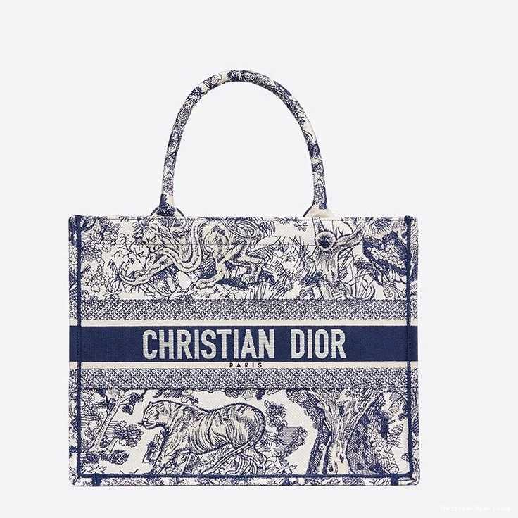 Cheap De Dior Canvas Toile Book Tote Blue Jouy Motif 0801 Luxury